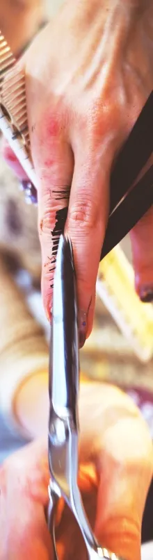 vicca salon services in Tokyo